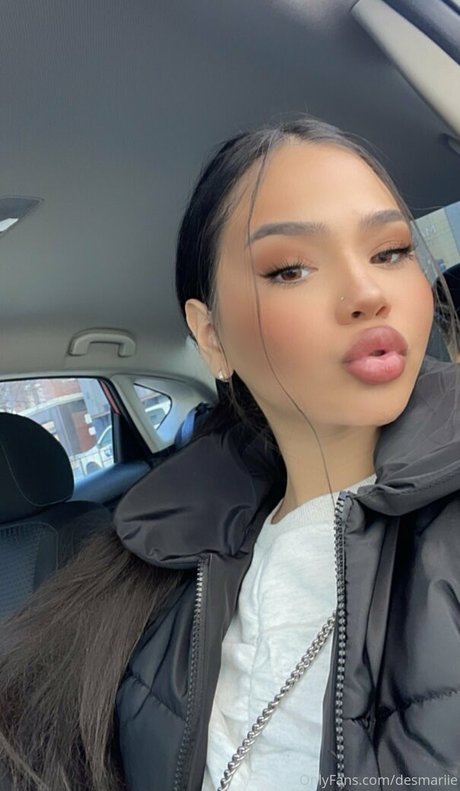 desmariie 高品質のポルノスター 写真