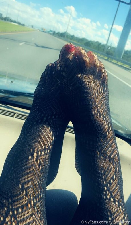 nylonskitten ポルノスター 高品質 画像