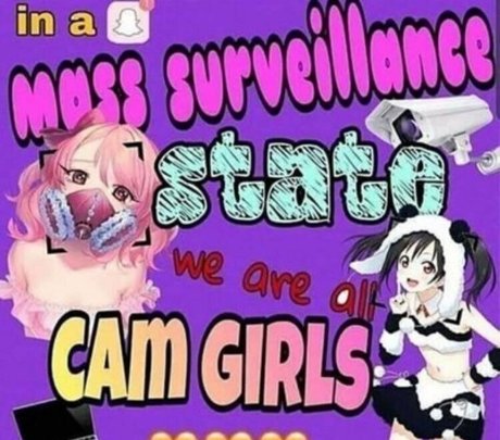 hammerheadneko ポルノスター パーフェクト アーカイブ