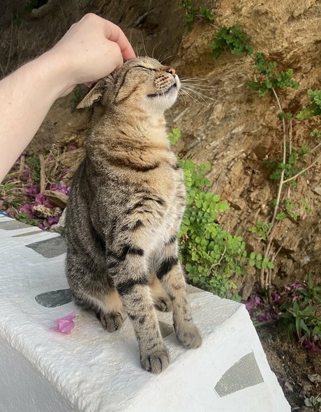 お尻オンリーファン アートヌード アーカイブ