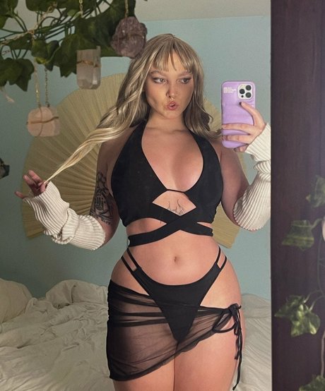 Silkylace0 限定スター ギャラリー