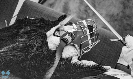 ブルネットの猫OnlyFans 無料裸 写真