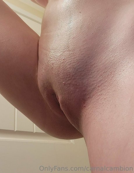 carnalcambion 最高のポルノスター 画像