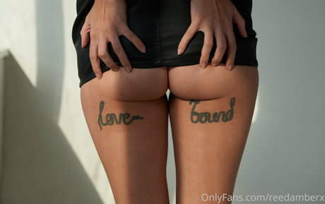 reedamberx HDスター ギャラリー