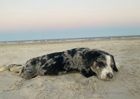 funwithbubblerainbow ポルノスター ホット アーカイブ
