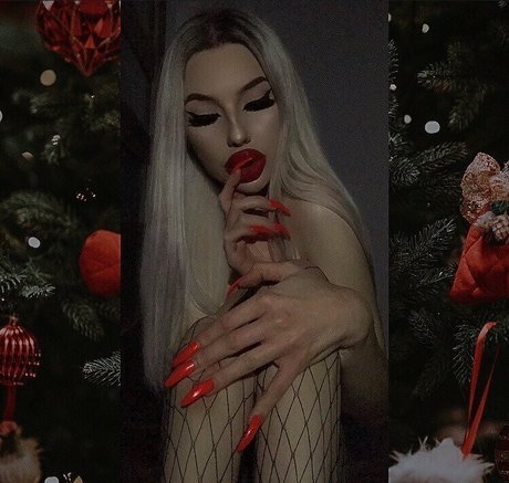 charlotteventura スター 写真