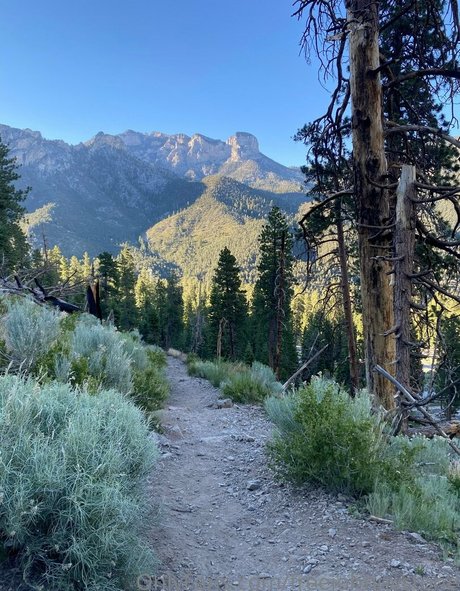 freejohnnystone ホットなモデル 写真