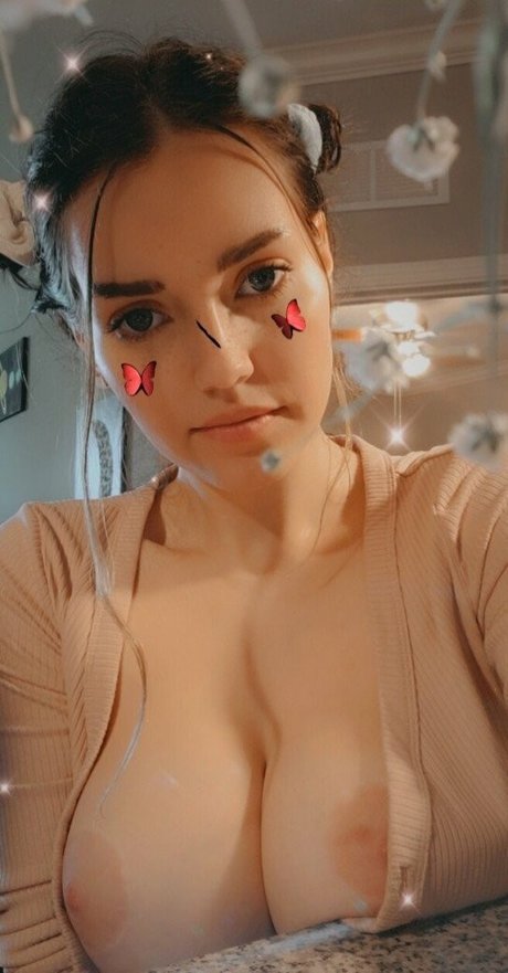 QT Lux xxxモデル 画像