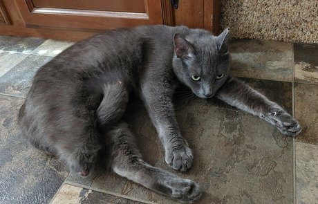 lukeylewdcario ポルノスター アーカイブ