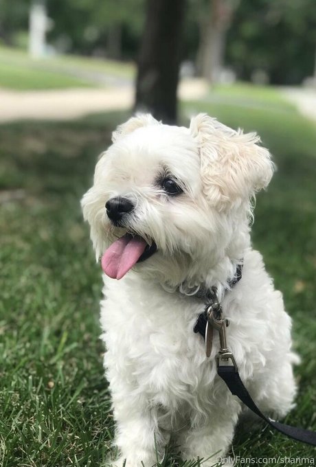 おばあちゃんの熟女OnlyFans ホットセックス ギャラリー