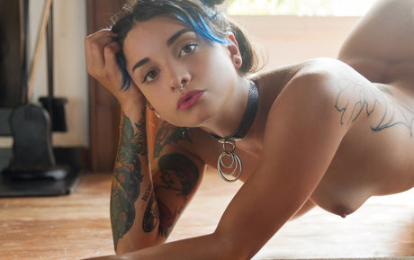 Deskicio Suicide ポルノスター アート 写真