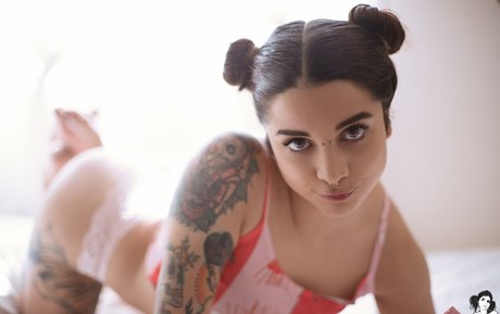 Deskicio Suicide スター 写真