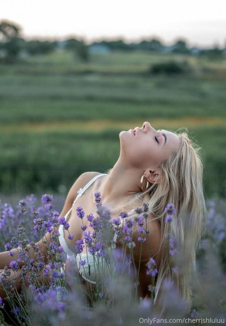 縛られたOnlyFans ホット ギャラリー