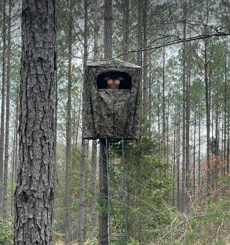 kimberleysadventures アダルトモデル 画像