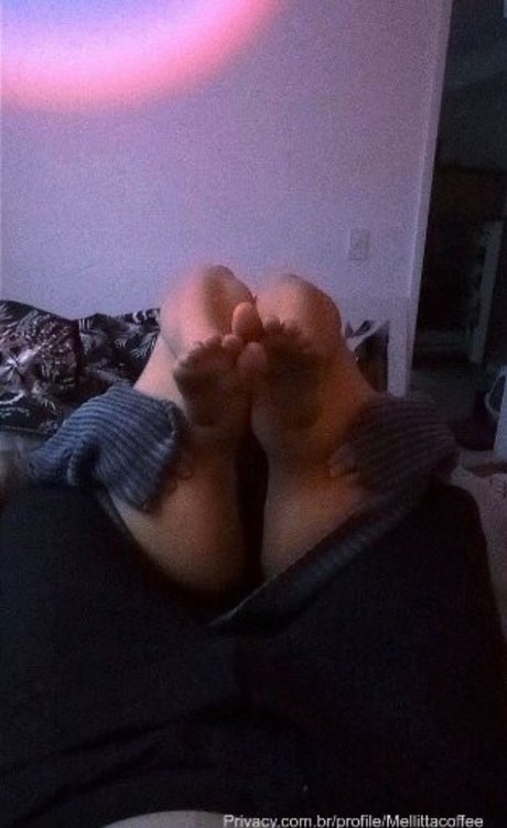 Melitta Coffee アートモデル 画像