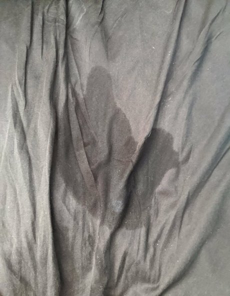 bbwdanibrooke ポルノスター 写真