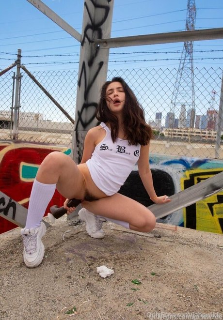 janewilde 美しいスター 写真