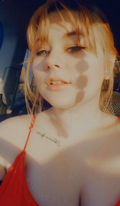 wibblooo スター 写真