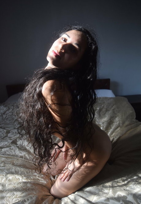 mirabellaestella 無料のスター アーカイブ