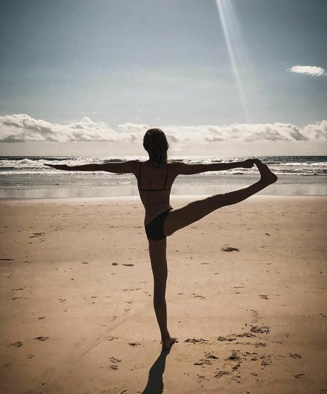 ブラジルの猫オンリーファンズ 可愛い ギャラリー