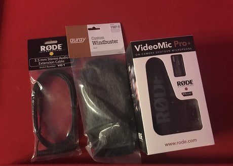 sashastrokes ポルノスター ギャラリー