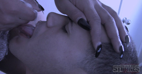 sashastrokes 完璧なスター 画像