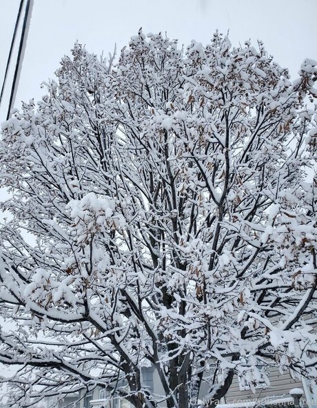 brihanna babe ポルノスター 独占 ギャラリー