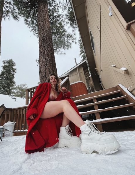 ジンジャートゥインクオンリーファンズ トップ 写真