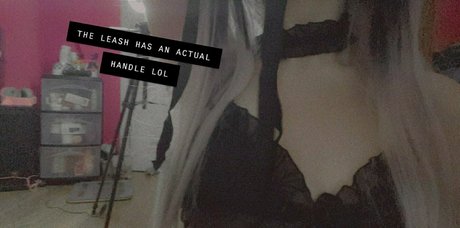 lewdcesu ポルノスター ベスト アーカイブ