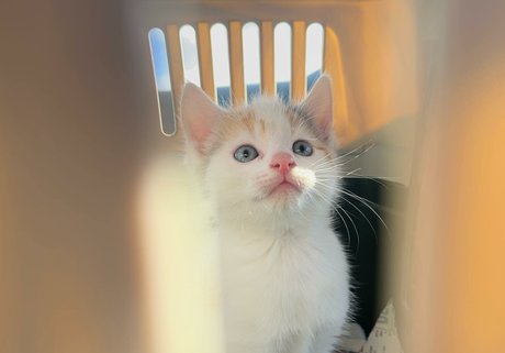 emss x ヌードモデル 写真