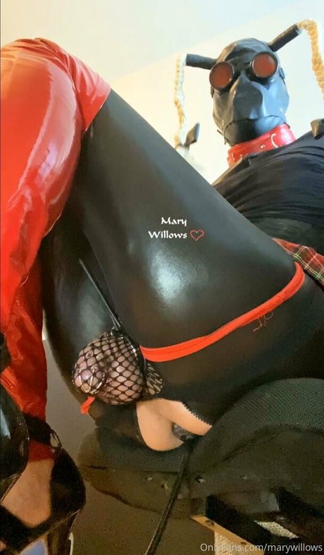 marywillows かわいいポルノスター 写真