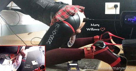 marywillows ポルノスター 写真