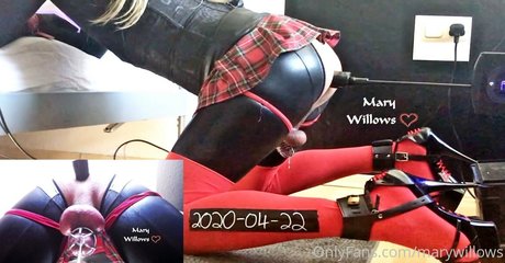 marywillows スターセックス ギャラリー