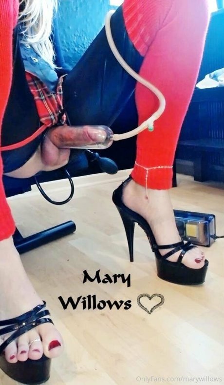 marywillows セックスポルノスター 写真