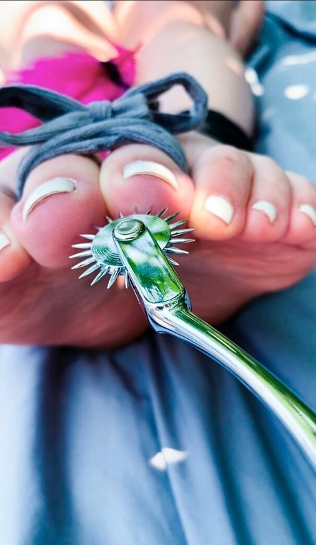 ticklebxtra アダルトスター ギャラリー