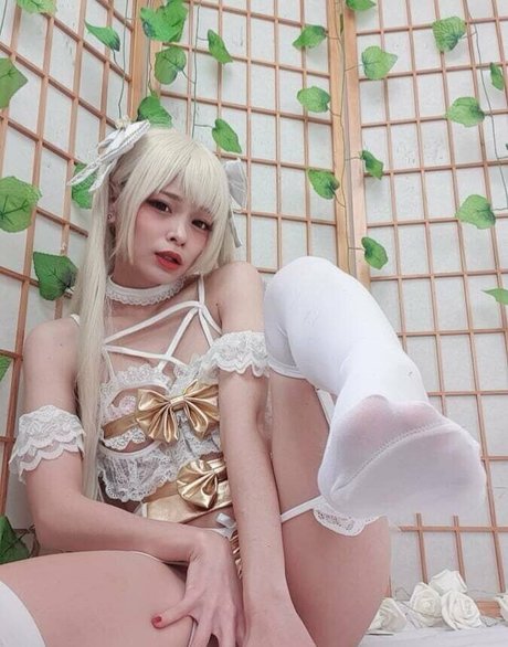 巨尻オンリーファン ベスト アーカイブ