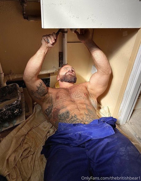 thebritishbear1 ポルノスター 写真