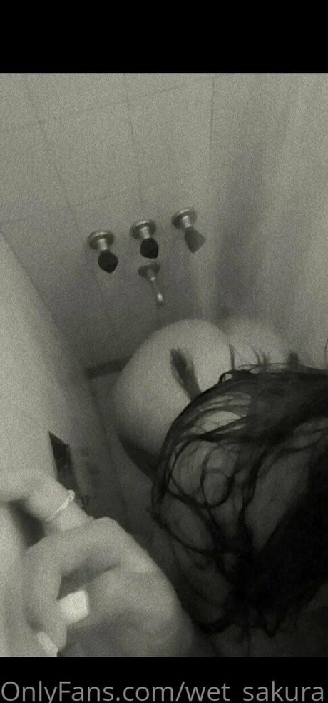 wet sakura 美しい女優 写真