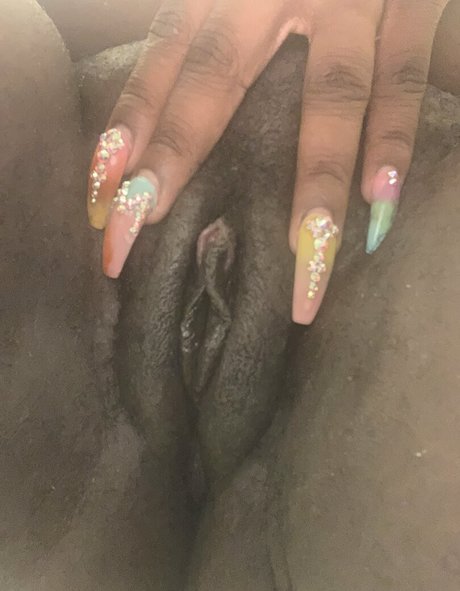 donnastarr 高品質女優 アーカイブ