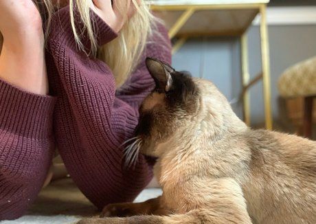 ティーントランスオンリーファン ヌード 写真