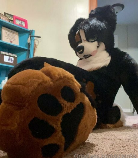 ccpinkk 女優 画像