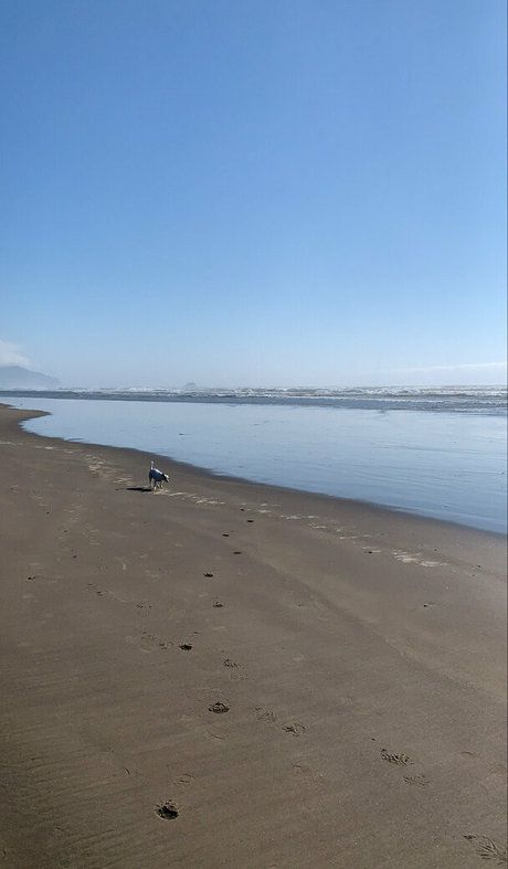 auroraarose xo 高品質女優 ギャラリー