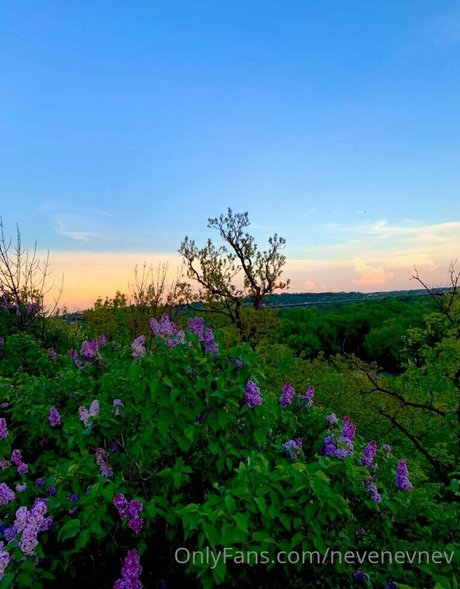 nevenevnev ヌードのポルノスター 写真