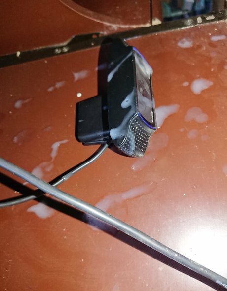 屋外ヌードOnlyFans HD ギャラリー