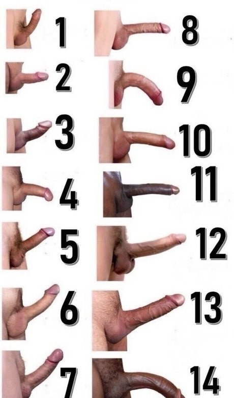 curvylucina アダルトモデル 写真