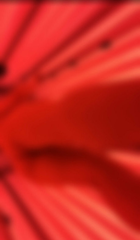 アラブのティーンズオンリーファンズ セクシー 画像