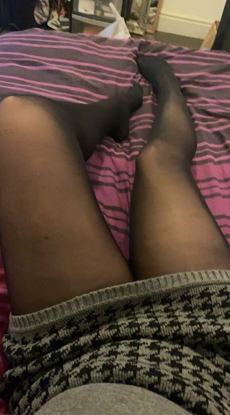 suziesuze HDモデル 写真