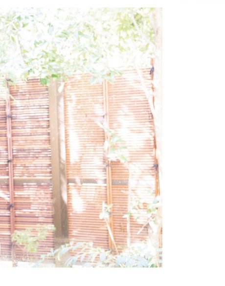 自然な赤毛のオンリーファンズ 裸 写真