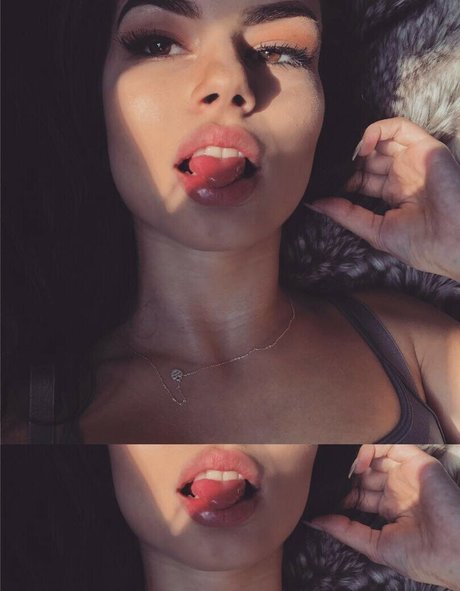 Ayliner 限定モデル 写真