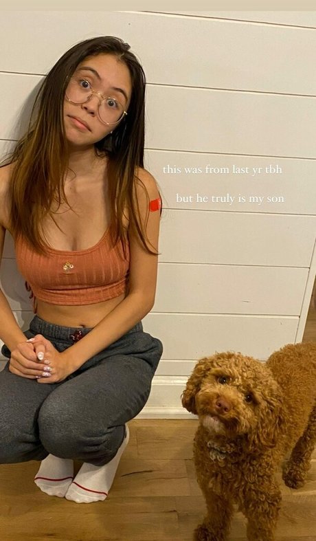 Tiptoetingles 完璧なスター ギャラリー